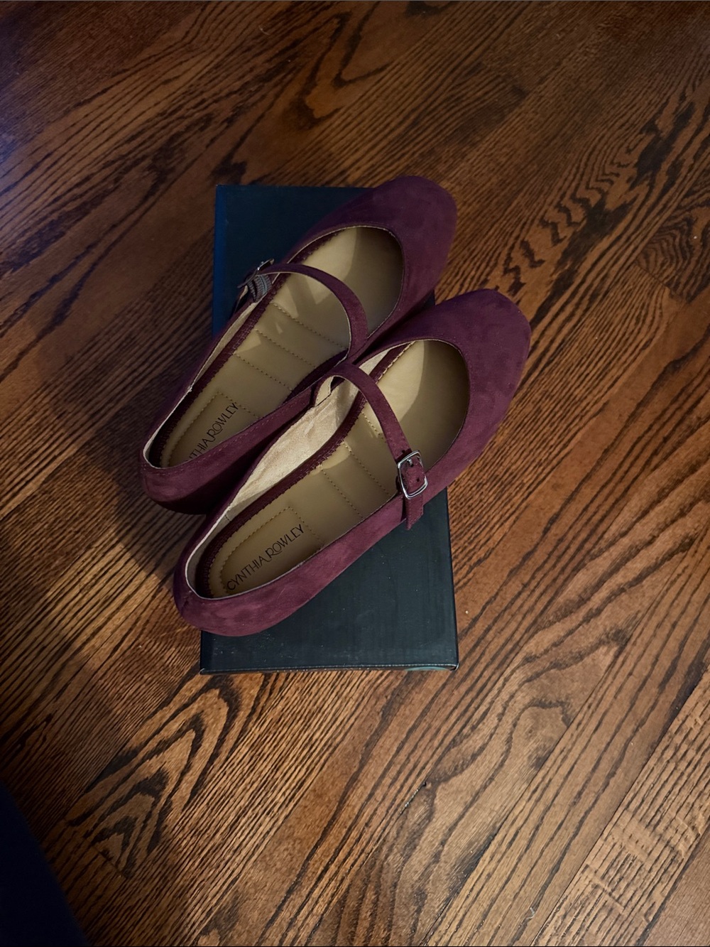 Cynthia Rowley Plum Sawyer Mary Jane Flats